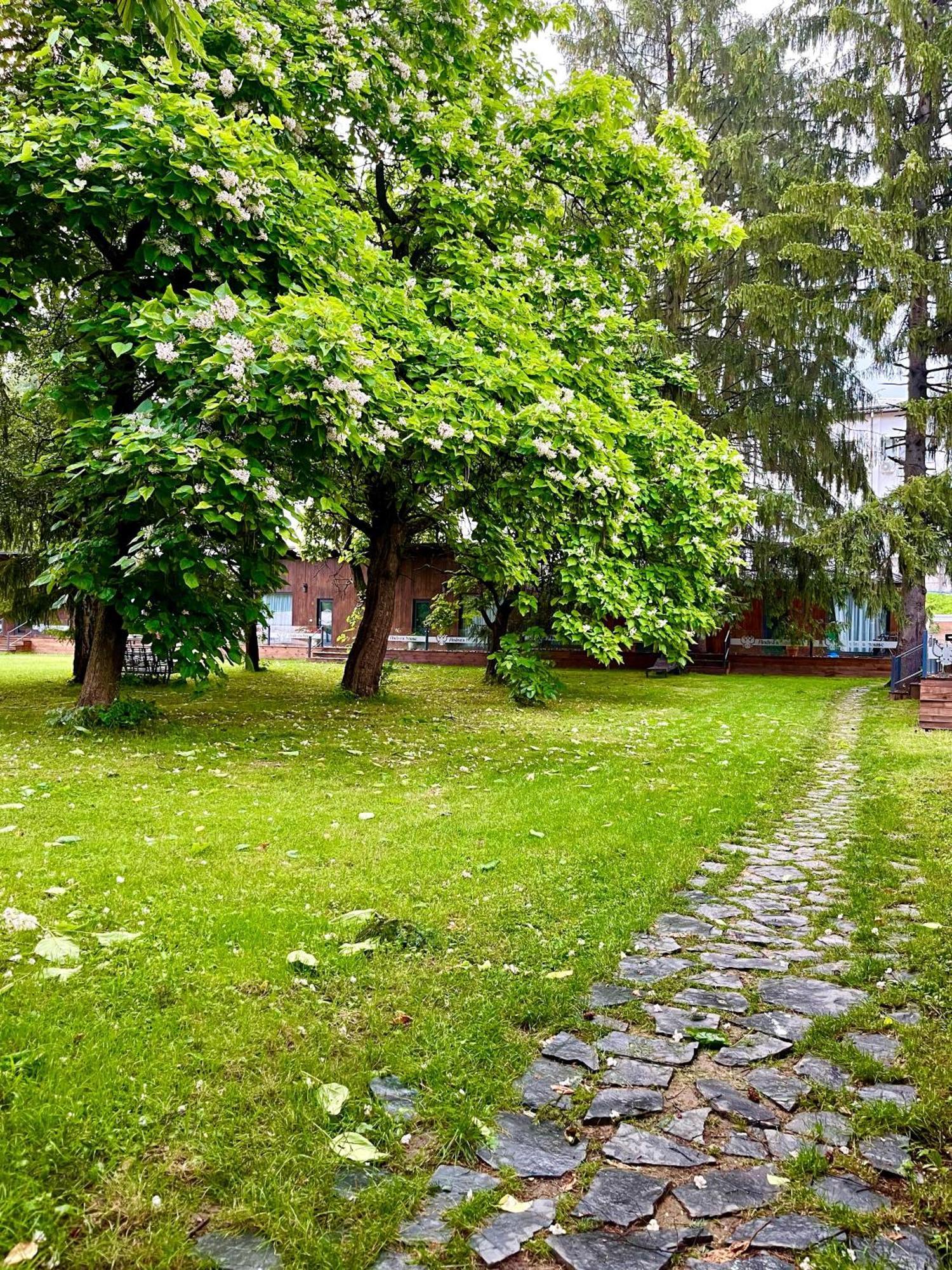 Pension Andra'S House Horezu Eksteriør billede